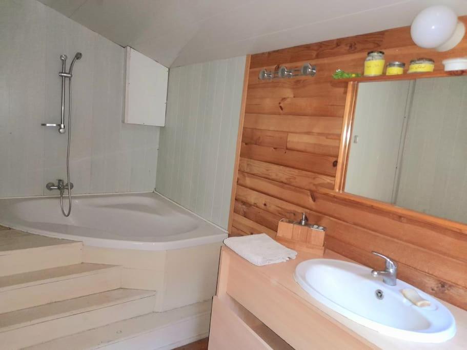 Charmante Yourte Contemporaine Carmaux Ngoại thất bức ảnh